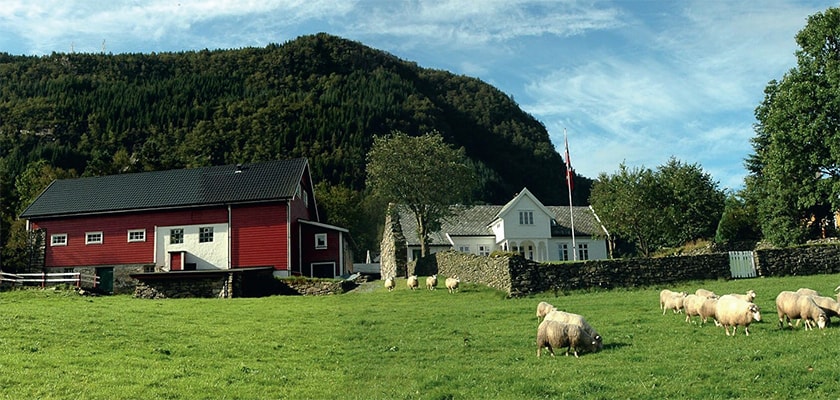 Lush green countryside of surrounding Bergen Lush green countryside of surrounding Bergen